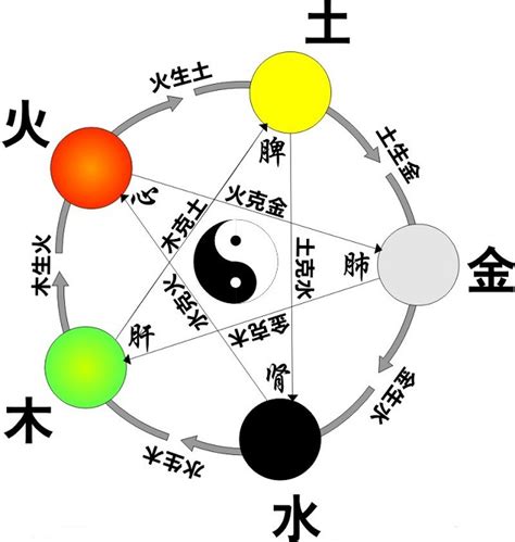 宥五行屬什麼|何事最能影響五行平衡？